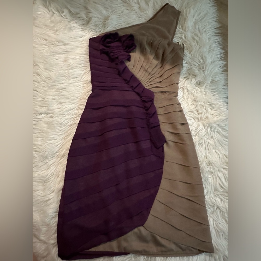 Mini Asymmetrical BCBG Dress